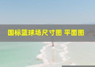 国标篮球场尺寸图 平面图